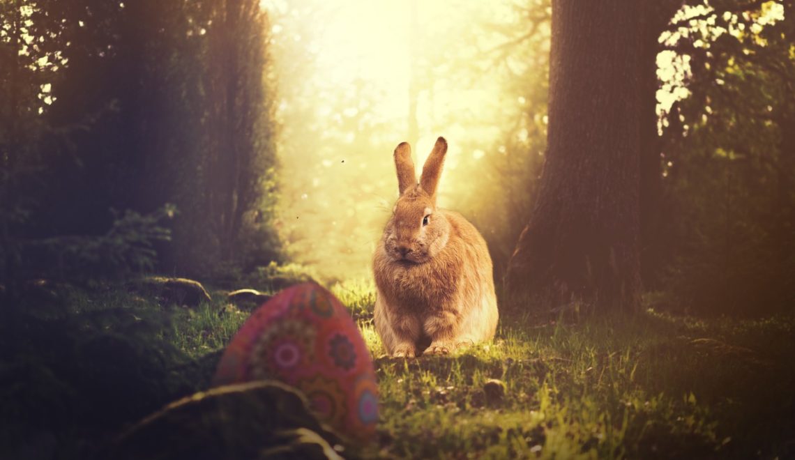 Pourquoi Des Oeufs Et Des Lapins En Chocolat Pour Paques Pourquoi Des Oeufs Et Des Lapins En Chocolat Pour Paques