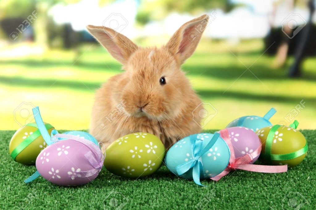 Lapins, cloches et œufs en chocolat Nos bonnes adresses pour Pâques à  Lille